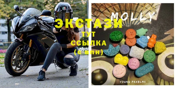 сатива Бородино
