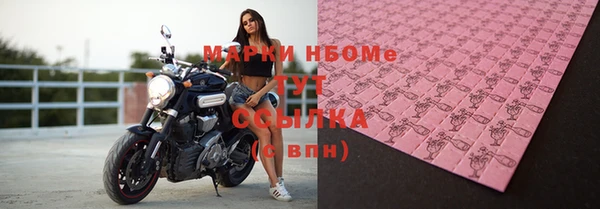 сатива Бородино