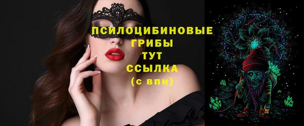 стафф Новозыбков