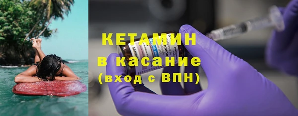 сатива Бородино