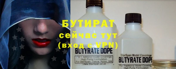 сатива Бородино