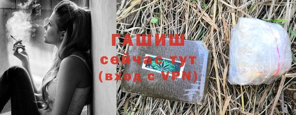 сатива Бородино